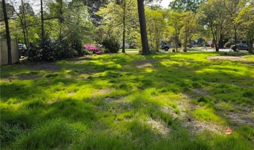 Lots of yard for planting