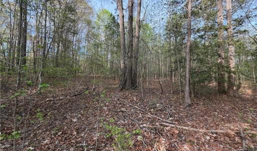 Photo #12 of 5.1+AC Monguy Road, Charles City, Virginia 5.9 acres