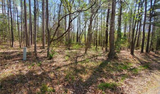 Photo #3 of 5.1+AC Monguy Road, Charles City, Virginia 5.9 acres