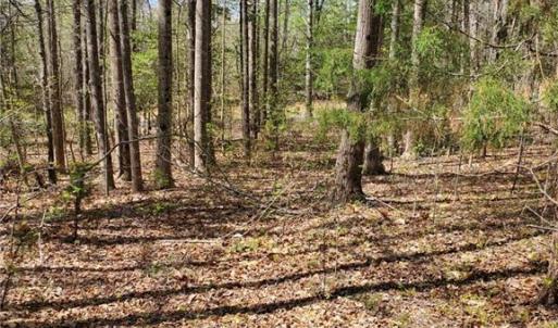 Photo #4 of 5.1+AC Monguy Road, Charles City, Virginia 5.9 acres