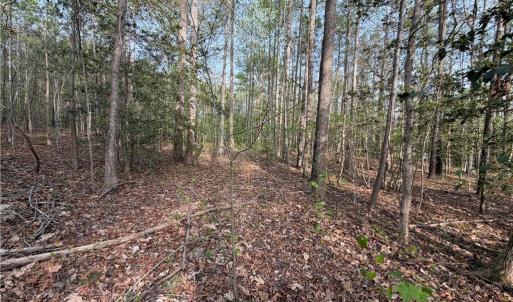Photo #10 of 5.1+AC Monguy Road, Charles City, Virginia 5.9 acres