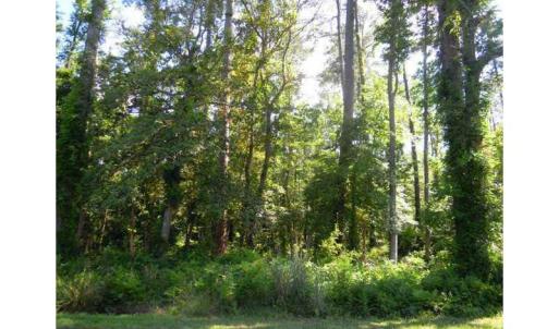 Photo #6 of 816 Ship Point Road, Yorktown, Virginia 2.7 acres