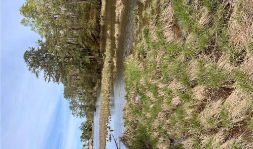 Photo #10 of 1.1+AC East West Parkway, Gloucester, Virginia 2.6 acres