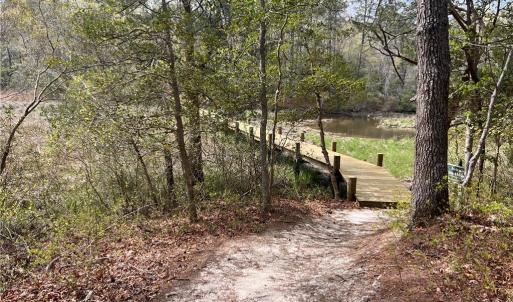 Trail goes down the hill to wooden walkway