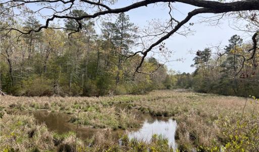 View up French Creek & view of back of lot