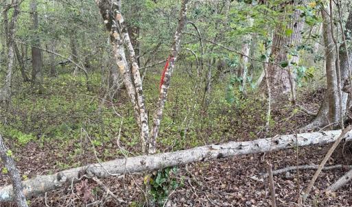 Photo #19 of 4.89ac Waterside Drive, Lanexa, Virginia 4.9 acres