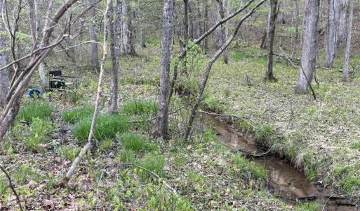 Photo #20 of 4.89ac Waterside Drive, Lanexa, Virginia 4.9 acres