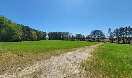 Photo #11 of 209 AC Five Forks Road, Freeman, Virginia 209.6 acres