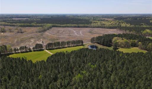 Photo #12 of 209 AC Five Forks Road, Freeman, Virginia 209.6 acres