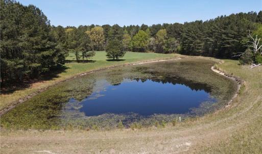 Photo #13 of 209 AC Five Forks Road, Freeman, Virginia 209.6 acres