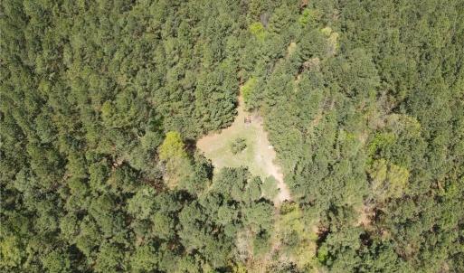 Photo #15 of 209 AC Five Forks Road, Freeman, Virginia 209.6 acres