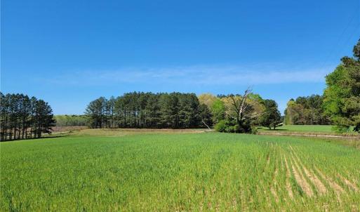 Photo #16 of 209 AC Five Forks Road, Freeman, Virginia 209.6 acres