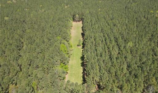 Photo #18 of 209 AC Five Forks Road, Freeman, Virginia 209.6 acres