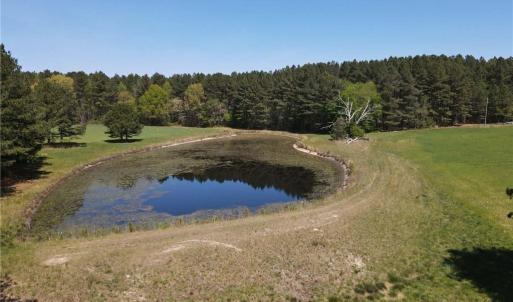 Photo #19 of 209 AC Five Forks Road, Freeman, Virginia 209.6 acres