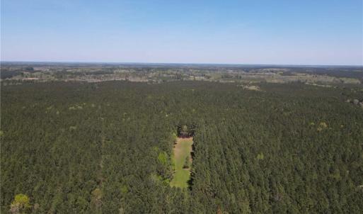 Photo #20 of 209 AC Five Forks Road, Freeman, Virginia 209.6 acres