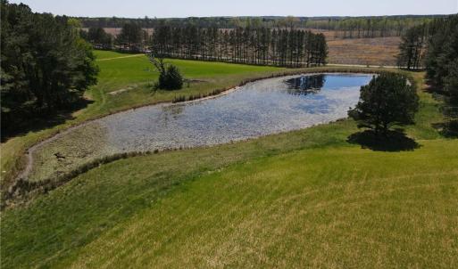 Photo #3 of 209 AC Five Forks Road, Freeman, Virginia 209.6 acres