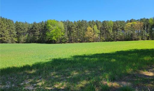 Photo #24 of 209 AC Five Forks Road, Freeman, Virginia 209.6 acres