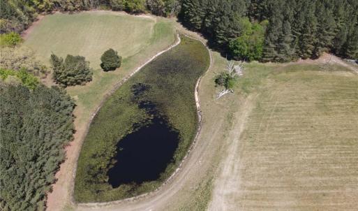 Photo #25 of 209 AC Five Forks Road, Freeman, Virginia 209.6 acres