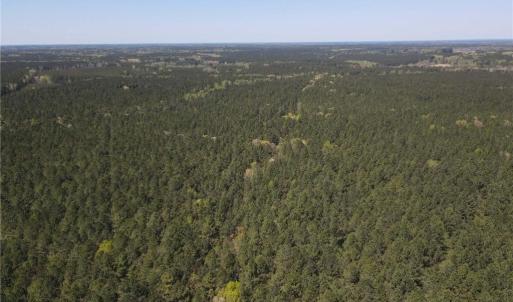 Photo #26 of 209 AC Five Forks Road, Freeman, Virginia 209.6 acres