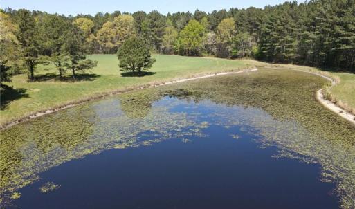 Photo #27 of 209 AC Five Forks Road, Freeman, Virginia 209.6 acres