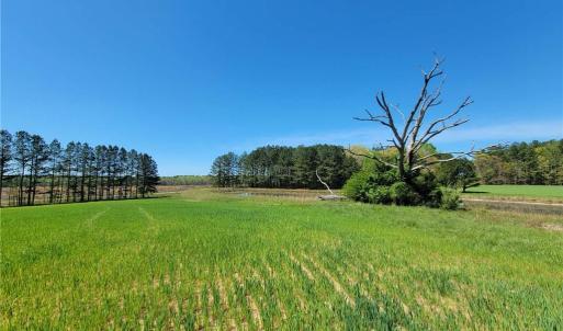 Photo #28 of 209 AC Five Forks Road, Freeman, Virginia 209.6 acres