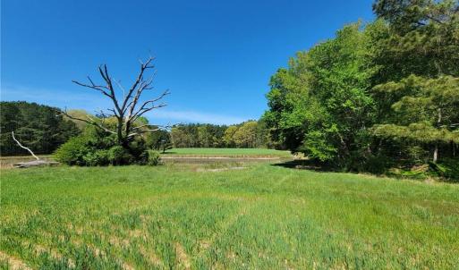 Photo #29 of 209 AC Five Forks Road, Freeman, Virginia 209.6 acres
