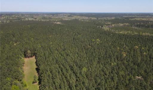 Photo #30 of 209 AC Five Forks Road, Freeman, Virginia 209.6 acres