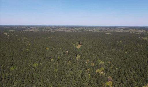 Photo #4 of 209 AC Five Forks Road, Freeman, Virginia 209.6 acres