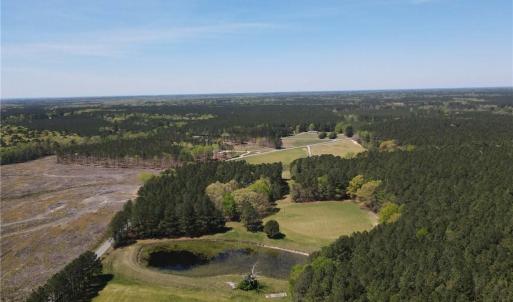 Photo #5 of 209 AC Five Forks Road, Freeman, Virginia 209.6 acres