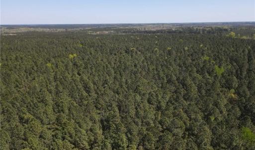 Photo #6 of 209 AC Five Forks Road, Freeman, Virginia 209.6 acres