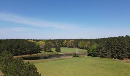 Photo #8 of 209 AC Five Forks Road, Freeman, Virginia 209.6 acres