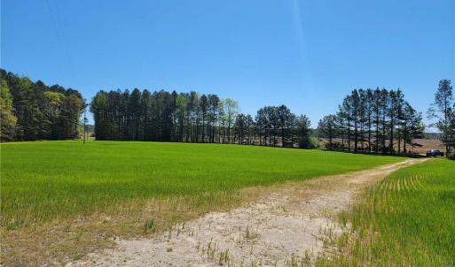 Photo #9 of 209 AC Five Forks Road, Freeman, Virginia 209.6 acres