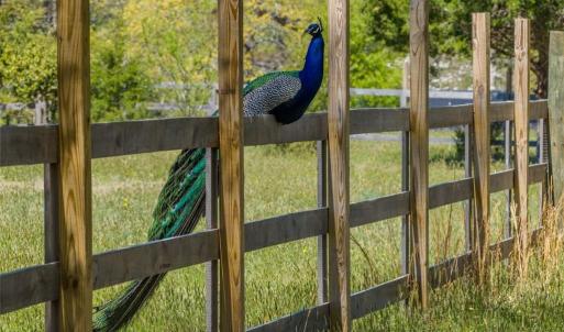 Photo #23 of 1.45ac Dancers Creek, Dutton, Virginia 1.5 acres