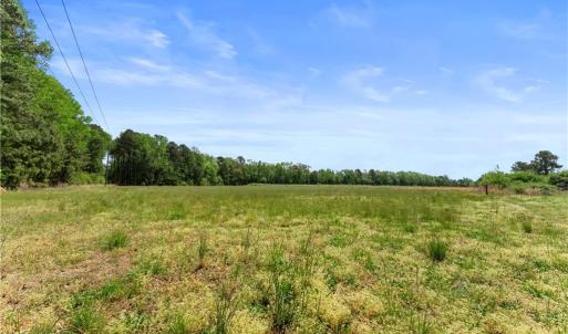 Photo #12 of 909 Murphys Mill Road, Suffolk, Virginia 37.2 acres