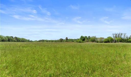 Photo #14 of 909 Murphys Mill Road, Suffolk, Virginia 37.2 acres