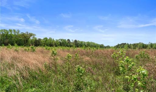 Photo #15 of 909 Murphys Mill Road, Suffolk, Virginia 37.2 acres