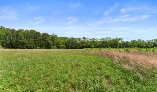 Photo #16 of 909 Murphys Mill Road, Suffolk, Virginia 37.2 acres