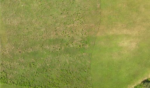 Photo #7 of 909 Murphys Mill Road, Suffolk, Virginia 37.2 acres