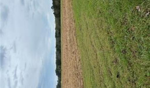 Photo #2 of 5294 Riverview Road, Williamsburg, Virginia 3.2 acres