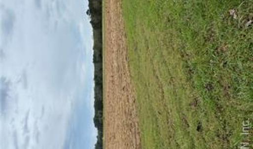 Photo #3 of 5294 Riverview Road, Williamsburg, Virginia 3.2 acres