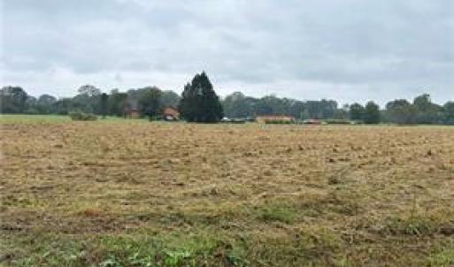 Photo #5 of 5294 Riverview Road, Williamsburg, Virginia 3.2 acres