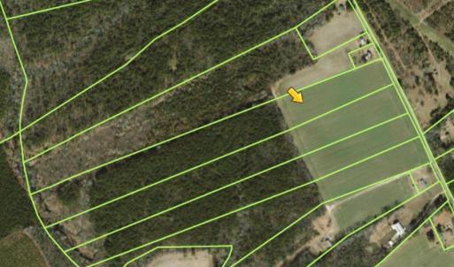 Photo #2 of 21AC Murphy Mill Road, Windsor, Virginia 21.7 acres