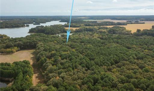 Photo #7 of 20AC Shooting Point Drive, Machipongo, Virginia 20.0 acres