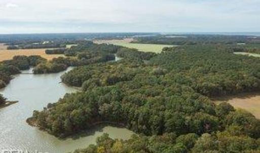 Photo #1 of 20AC Shooting Point Drive, Machipongo, Virginia 20.0 acres