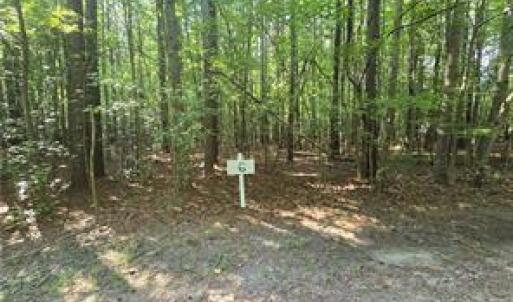 Photo #1 of Lot 6 Kayak Cove Road, Cobbs Creek, Virginia 2.9 acres