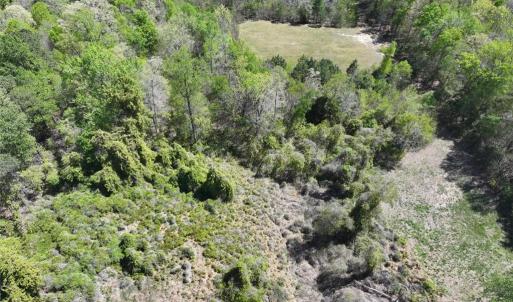 Photo #3 of 001 Pennsylvania Avenue, Claremont, Virginia 6.3 acres