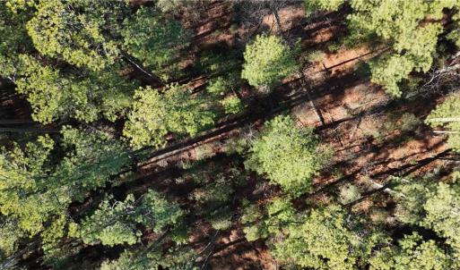 Photo #9 of Lot A Rollins Street, Poquoson, Virginia 3.0 acres