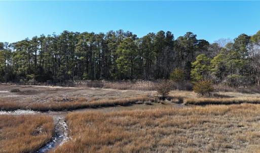 Photo #10 of Lot A Rollins Street, Poquoson, Virginia 3.0 acres