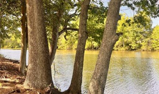 Photo #12 of 2035 Foxs Lair Trail, Norfolk, Virginia 0.3 acres