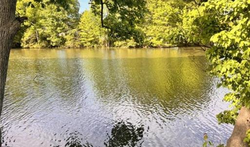 Photo #4 of 2035 Foxs Lair Trail, Norfolk, Virginia 0.3 acres